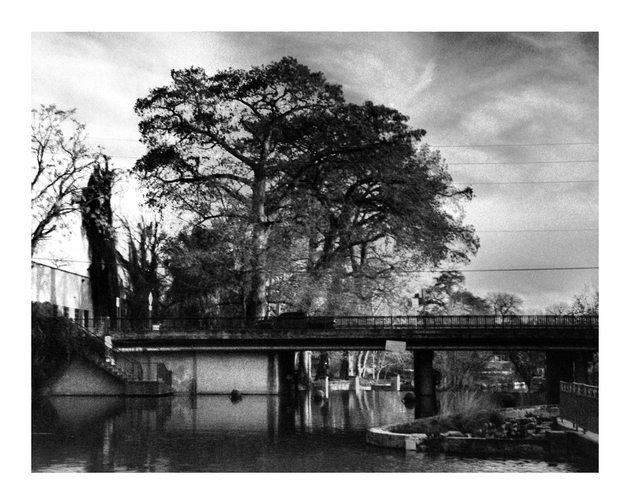 Alejandro Braun : "Untitled (BlueStar S)" Print