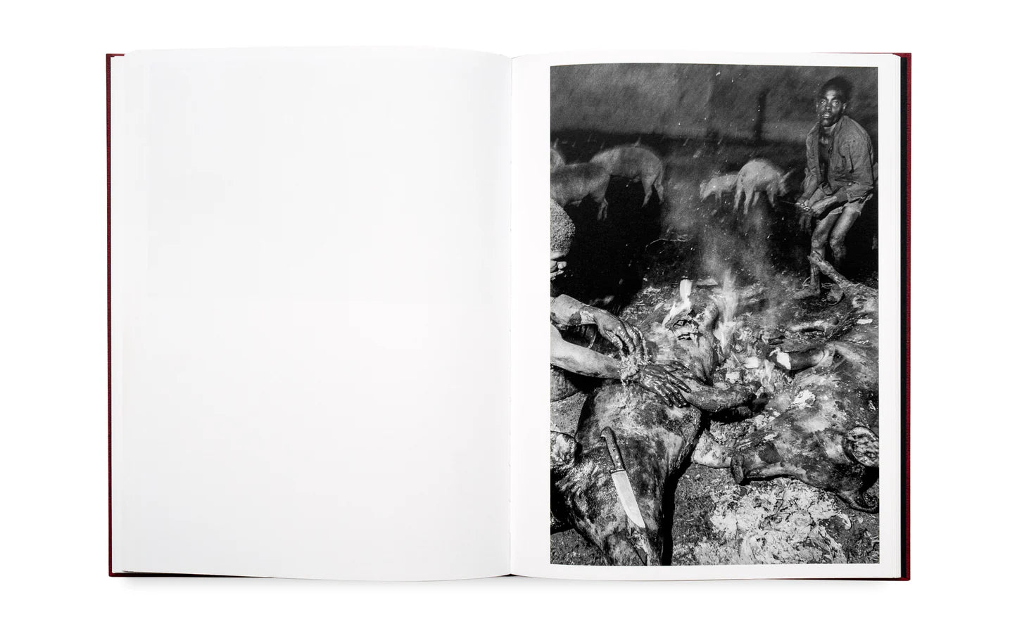 Bruce Gilden: Haiti