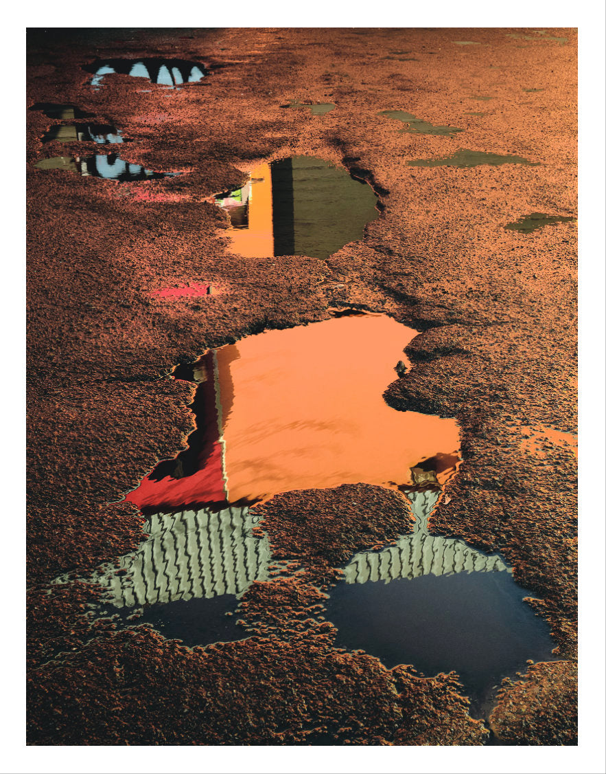 Chad Miller : "Golden Puddles" Print