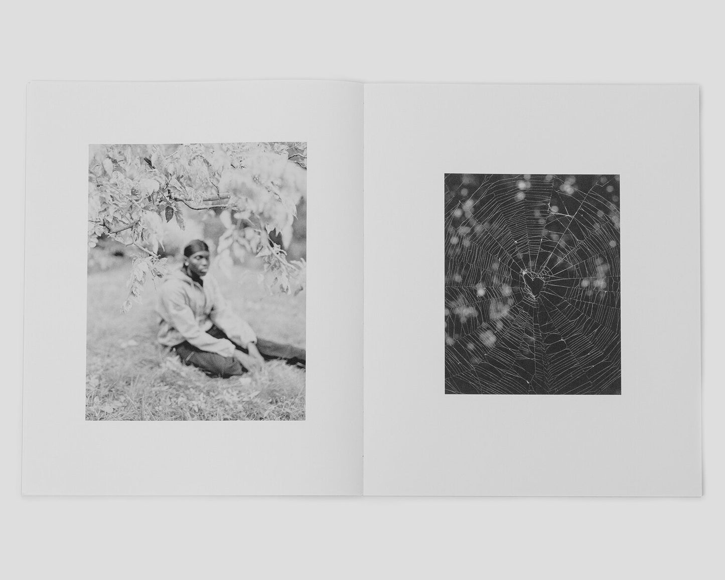 Donavon Smallwood: Languor