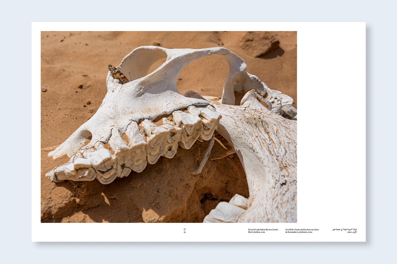 Lucas Foglia: Constant Bloom