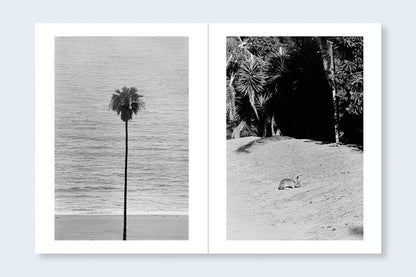 Avo Tavitian & Daido Moriyama: Los Angeles x Shinjuku