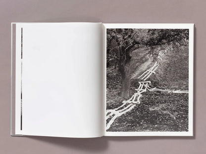 Ian Bates: The Weight of Ash