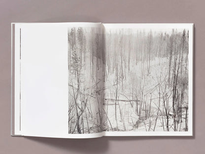 Ian Bates: The Weight of Ash