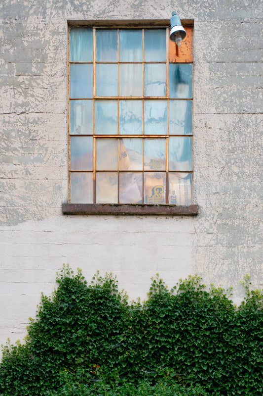 “Watercolor Window” Postcard