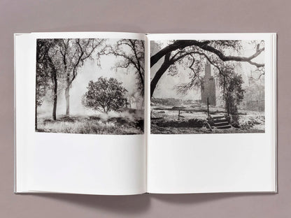 Ian Bates: The Weight of Ash