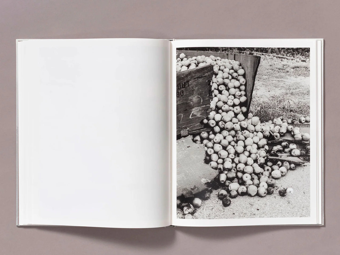 Ian Bates: The Weight of Ash