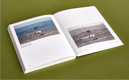 Joel Meyerowitz: A Question of Color