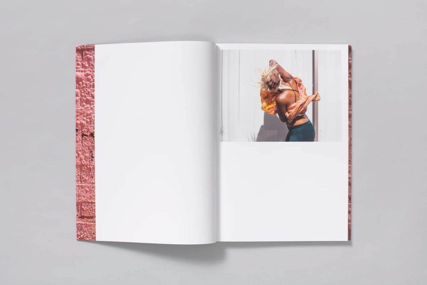 Pieter Hugo: Californian Wildflowers