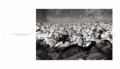 Graciela Iturbide: Graciela Iturbide 2nd edition (English version)