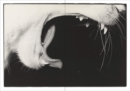 Masahisa Fukase: Sasuke