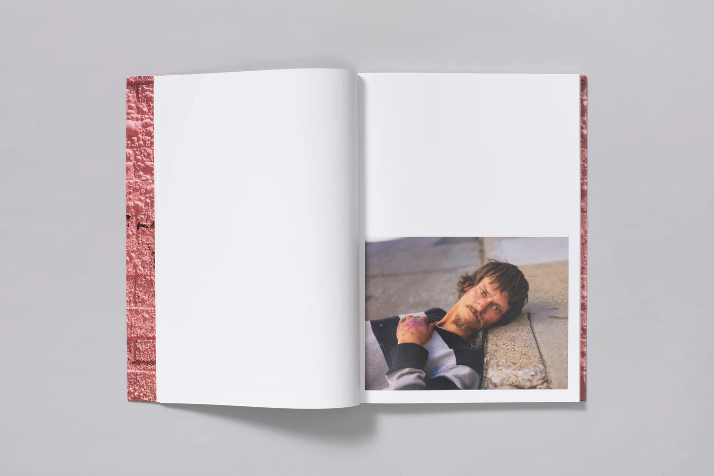 Pieter Hugo: Californian Wildflowers