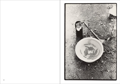 Masahisa Fukase: Sasuke