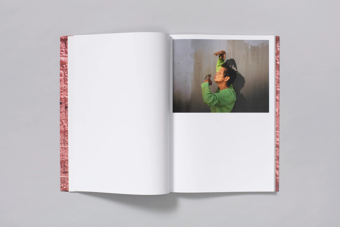 Pieter Hugo: Californian Wildflowers