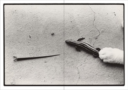 Masahisa Fukase: Sasuke