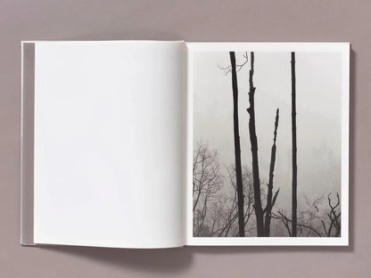 Ian Bates: The Weight of Ash