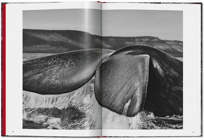 Sebastião Salgado. Genesis