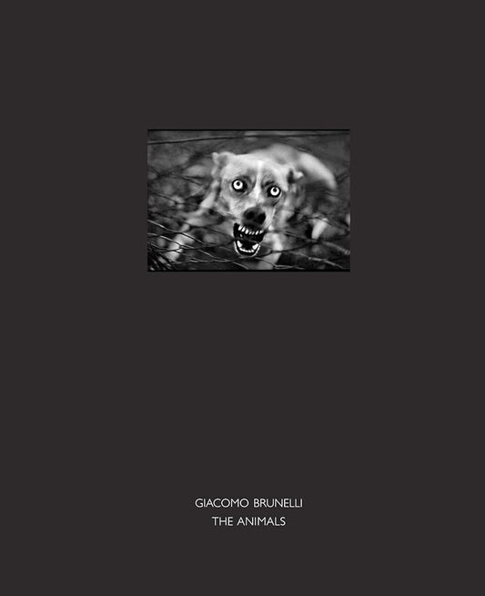 The Animals cover image