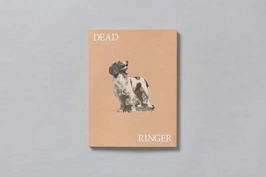 Dead Ringer cover image