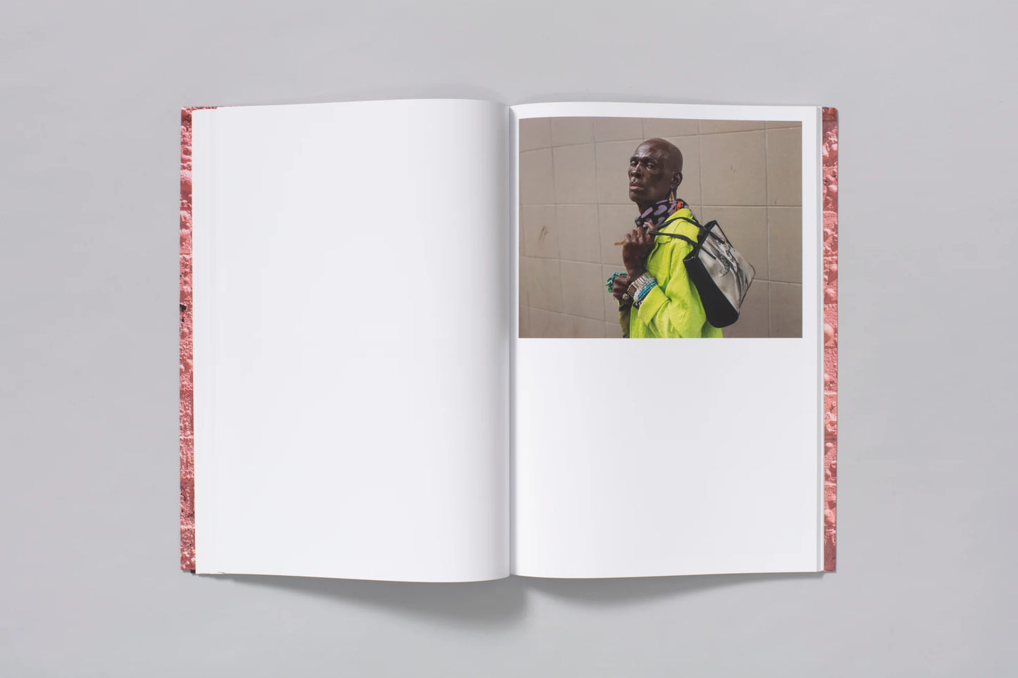 Pieter Hugo: Californian Wildflowers