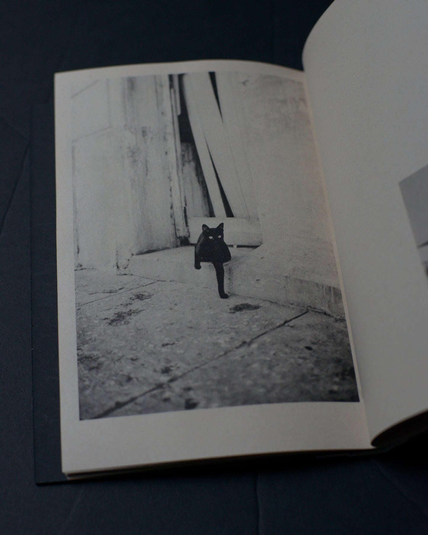 Chester Rivera: The Sweet Smell of Burnt Gasoline Brings Me Home