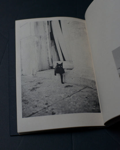 Chester Rivera: The Sweet Smell of Burnt Gasoline Brings Me Home