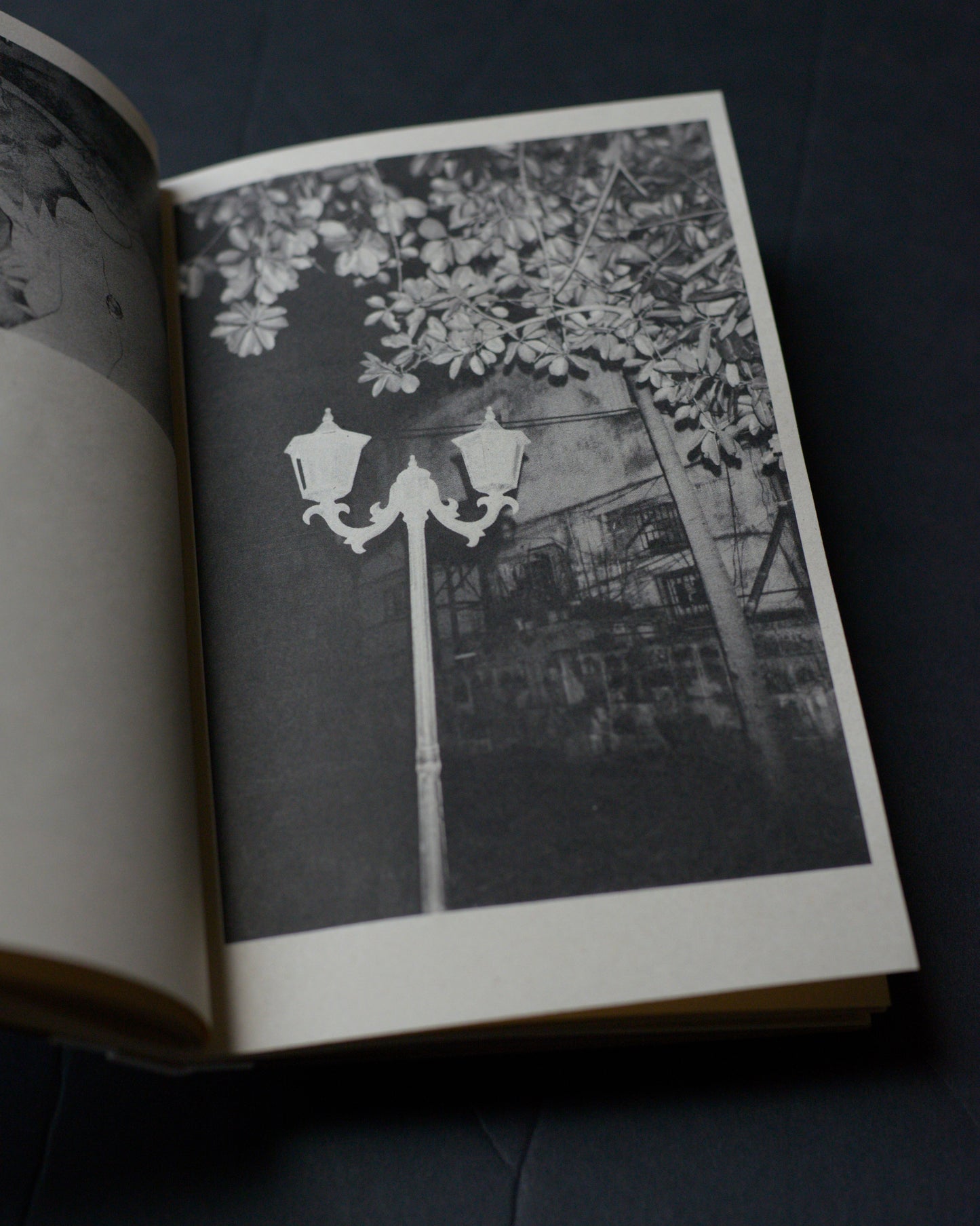 Chester Rivera: The Sweet Smell of Burnt Gasoline Brings Me Home