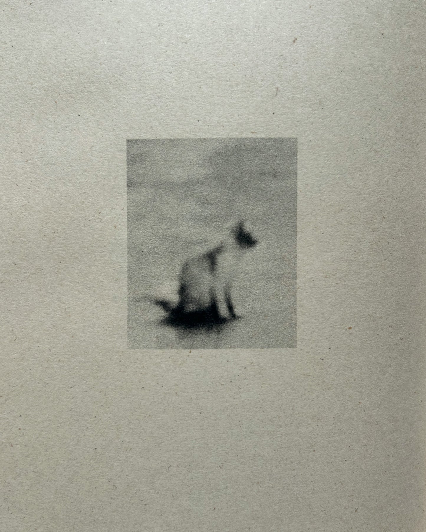 Chester Rivera: The Sweet Smell of Burnt Gasoline Brings Me Home