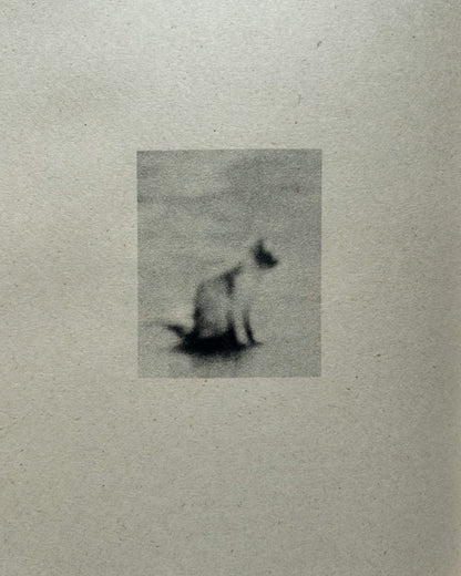 Chester Rivera: The Sweet Smell of Burnt Gasoline Brings Me Home