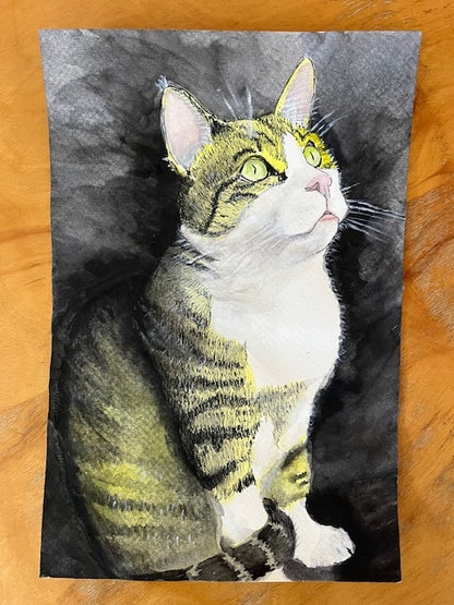 Custom Pet Portrait