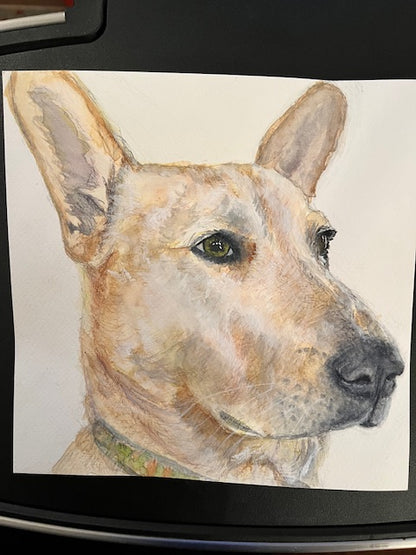 Custom Pet Portrait