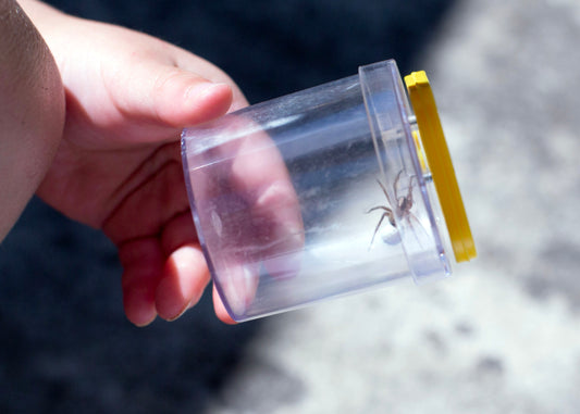 Ruby Longoria: "Spider Jar" Print