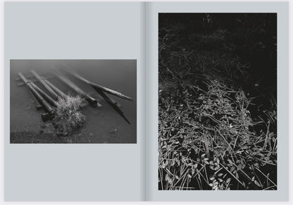 Chad Miller: Water Wings zine