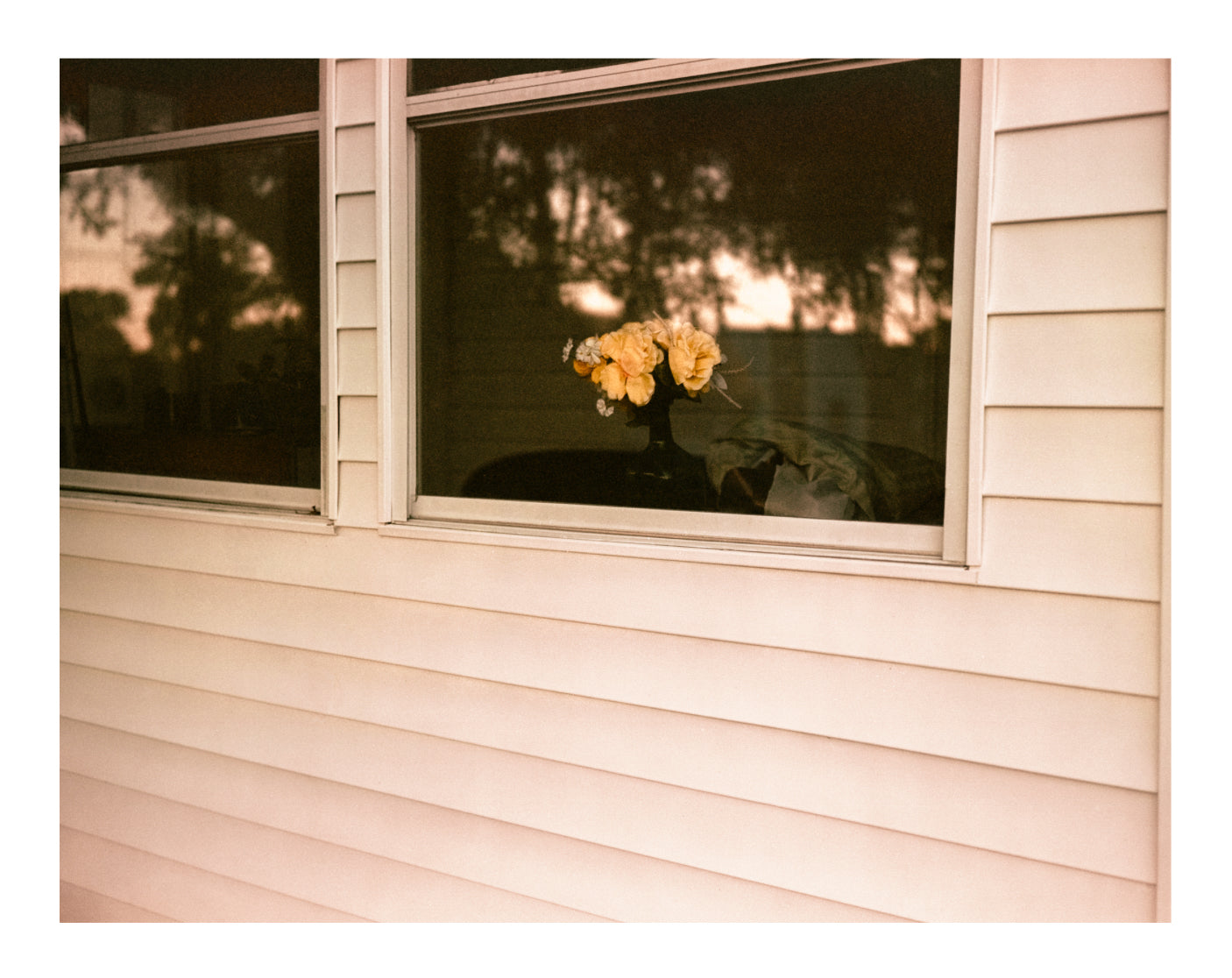 Carlos Ramos Seda: "Flowers" Print