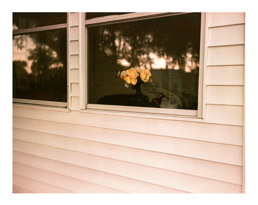 Carlos Ramos Seda: "Flowers" Print