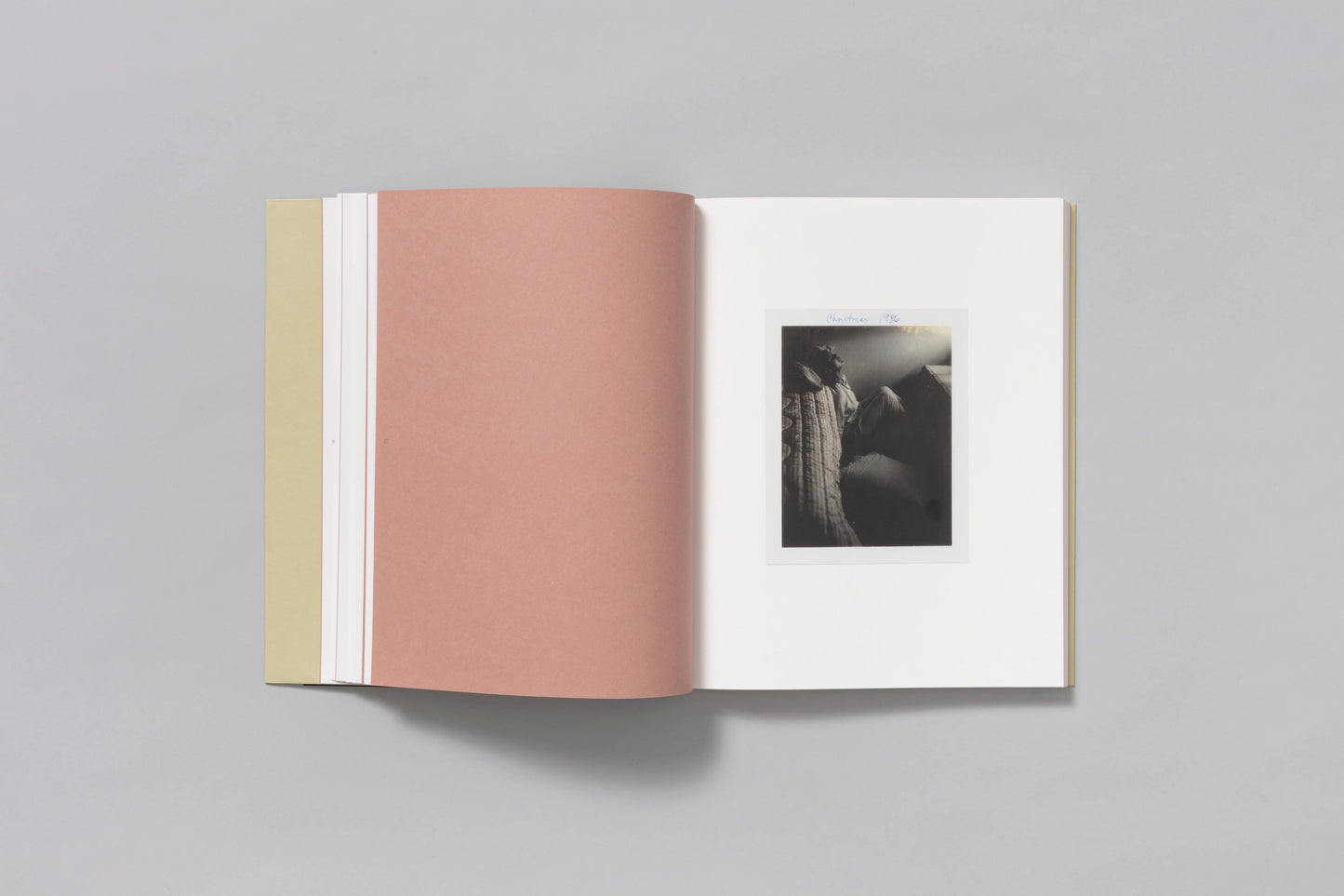 Carla Williams: Tender