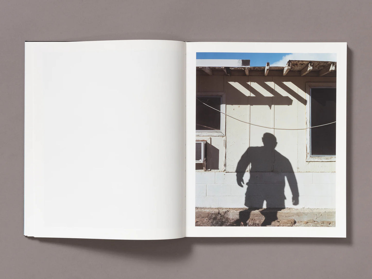 Tracy L Chandler: A Poor Sort of Memory