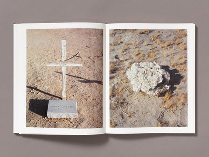Tracy L Chandler: A Poor Sort of Memory