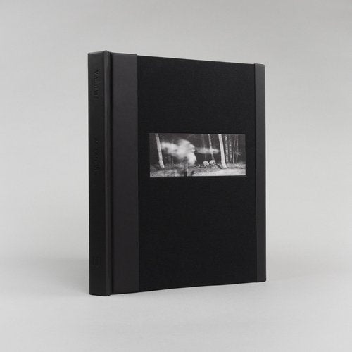 Anna Arendt: Vanishing