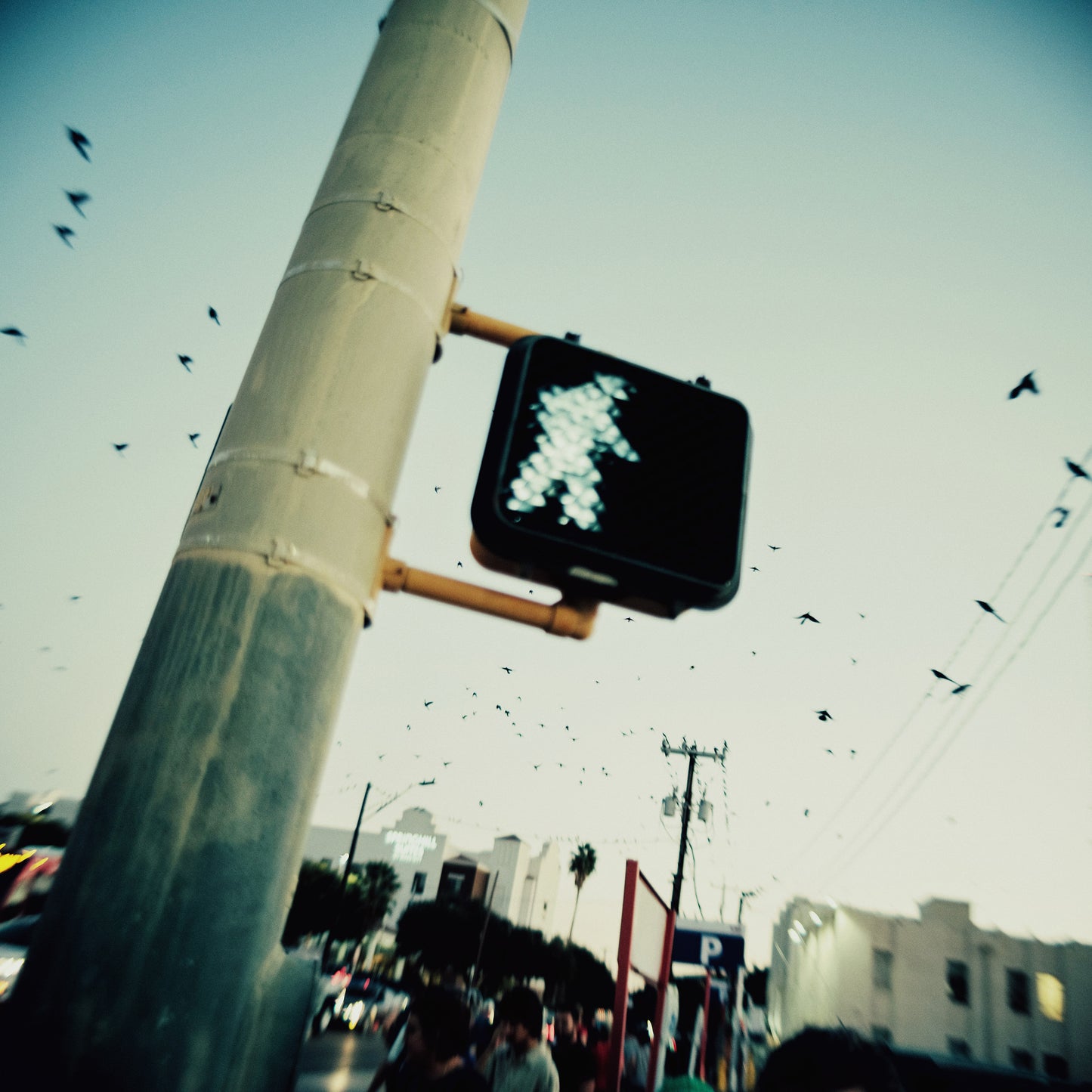 Carlos Ramos Seda : "Walk/Fly" Print