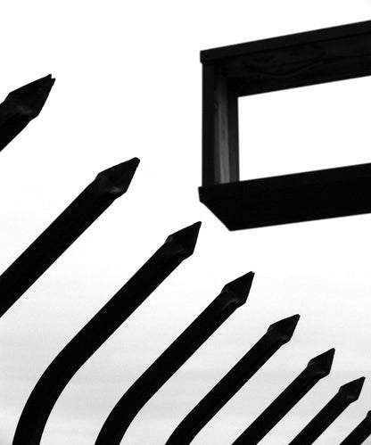 TJ Norris: Shooting Blanks