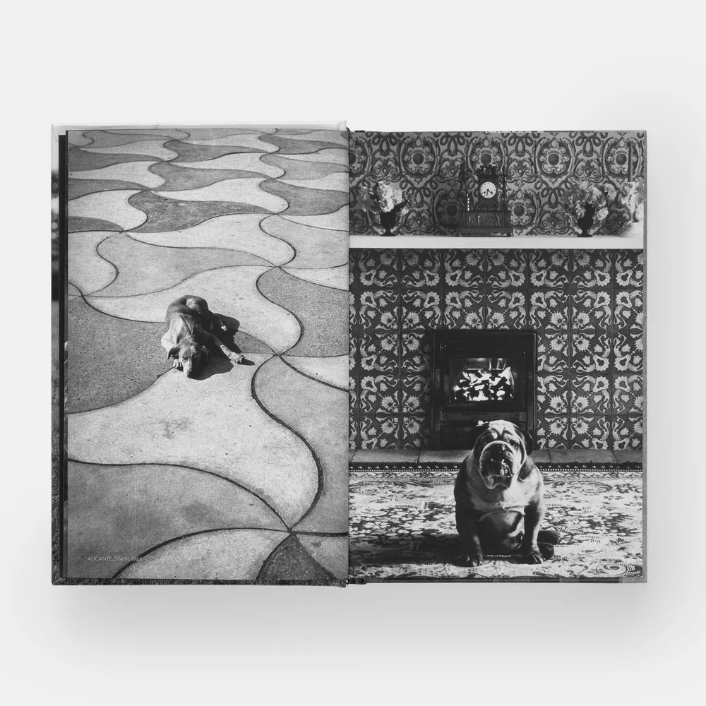 Elliott Erwitt: DogDogs