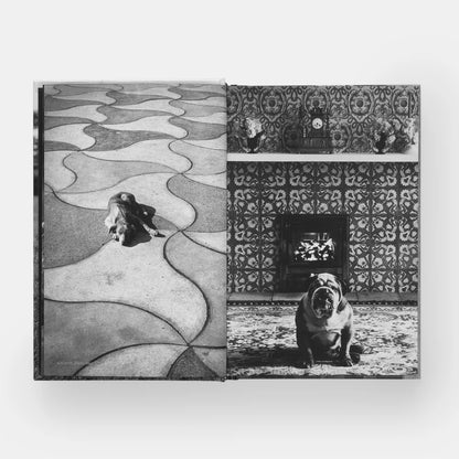 Elliott Erwitt: DogDogs