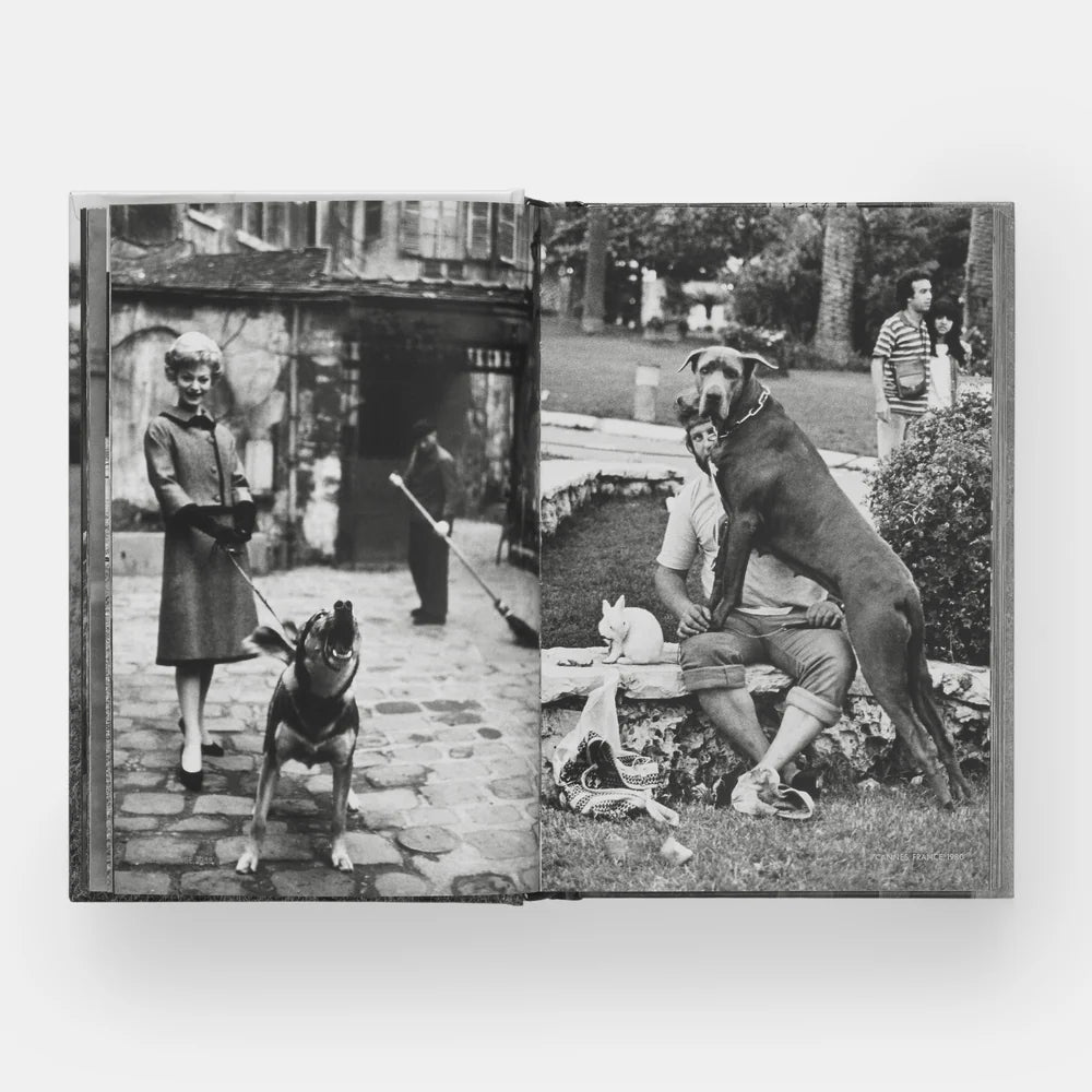 Elliott Erwitt: DogDogs